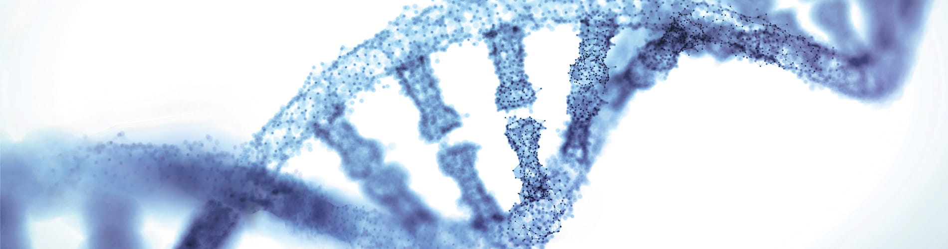Fascinating facts about DNA